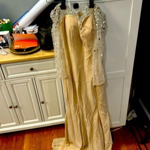 Champagne long sleeve sheer gown